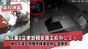 国产浙江某G企老总和女员工在办公室慎入交流工作视频